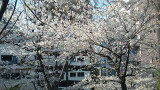 Thumbnail of post image 143