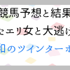 競馬:荒れたエリザベス女王杯2021、大逃げの福島記念他 | ゲーマー逃避行ブログ